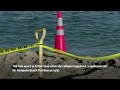 Sand hole collapse on Florida beach kills young girl  - 01:41 min - News - Video