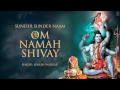 OM Namah Shivay, Sunder Sunder Naam Om Namah Shivay By Suresh Wadkar full Audio song Juke Box
