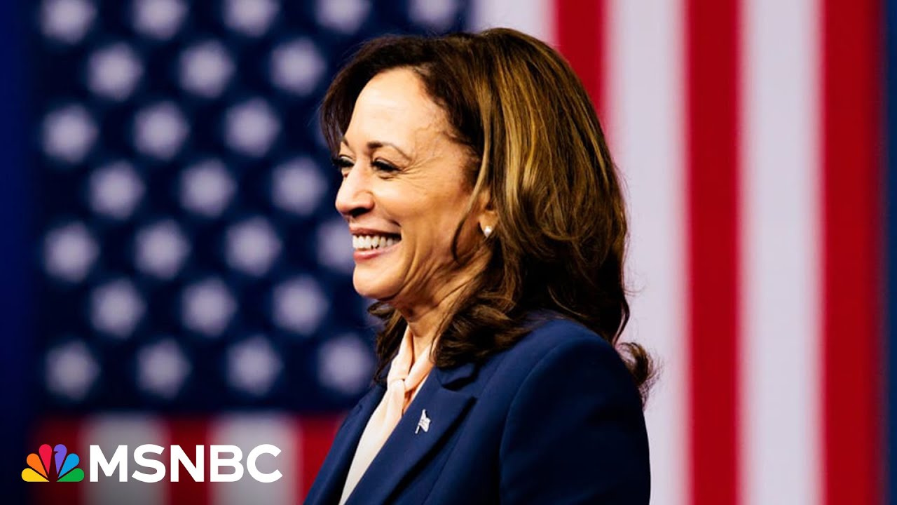 Harris Campaign is giving voters ‘something to fight for,’ says Arizona Dem