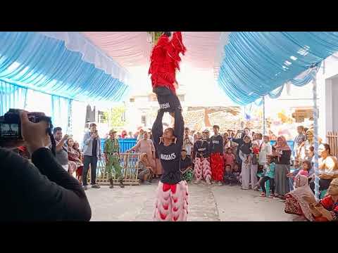 AKROBAT ‼️BUROK ARKA MUDA ‼️ LIVE SHOW TEGONGAN TANJUNG BREBES