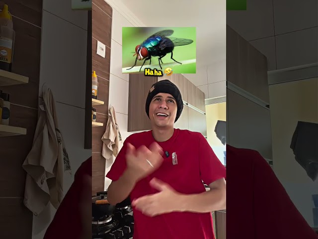 Os PIORES INSETOS do MUNDO 😱