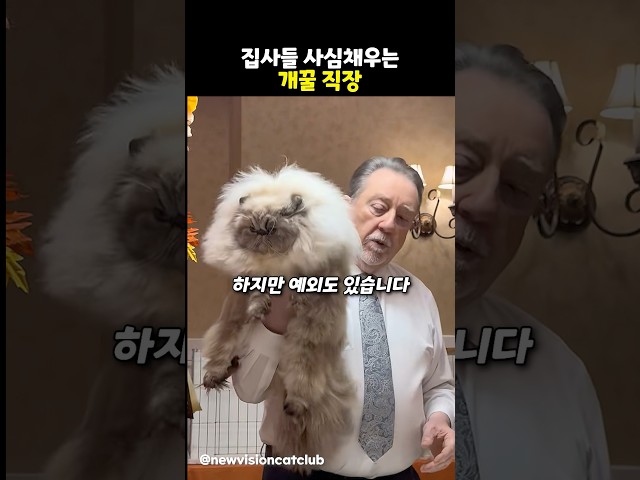 집사들 사심채우는 개꿀 직업