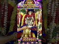 శ్రీ పద్మావతి అమ్మవారి కార్తిక బ్రహ్మోత్సవాలు - గరుడ వాహనం  - 00:59 min - News - Video