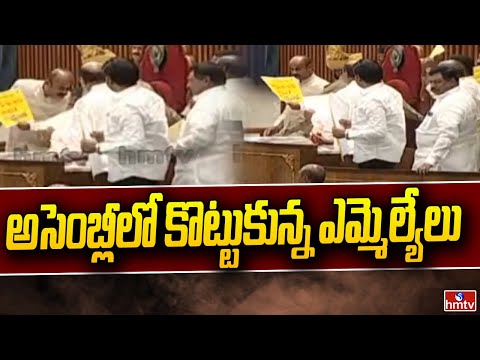 TDP and YSRCP clash in Andhra Pradesh Assembly