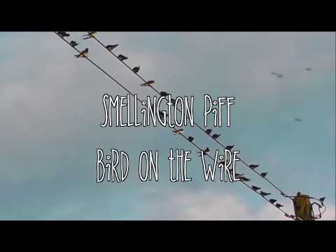 Smellington Piff - Bird on the Wire (Prod. Illinfo…