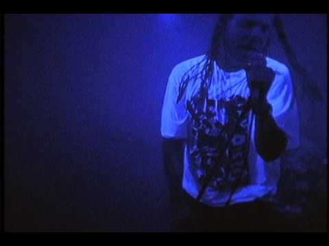 The Offspring -