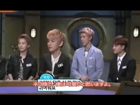 EXO 先輩を前に言葉に困るディオとベッキョン 日本語字幕