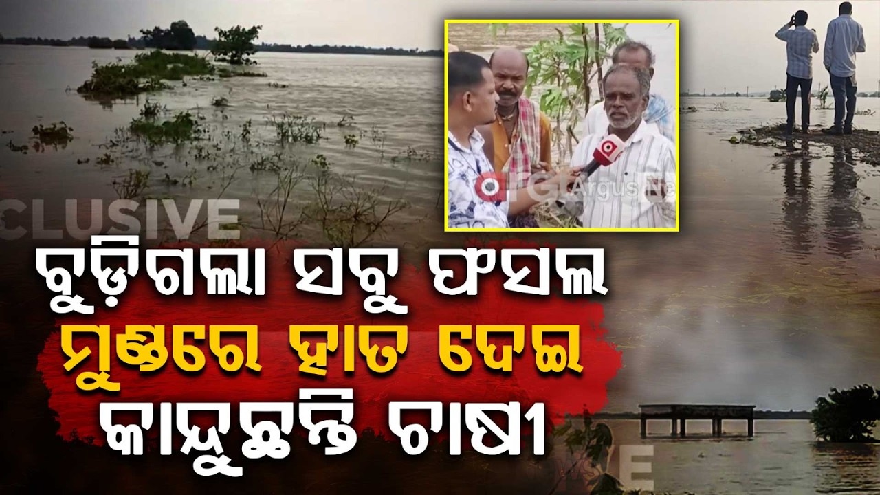 Nabarangpur Flood: Over 1000 Acres Of Crop Land Submerged In Kosagumuda | Argus News
