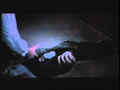 Nosferatu: Phantom der Nacht'
