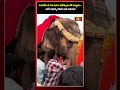 ఉరవకొండ గవి మఠం రథోత్సవంలో అద్భుతం.. భారీ రథాన్ని కదిలించిన గజరాజు | Viral Video | Bhakthi TV