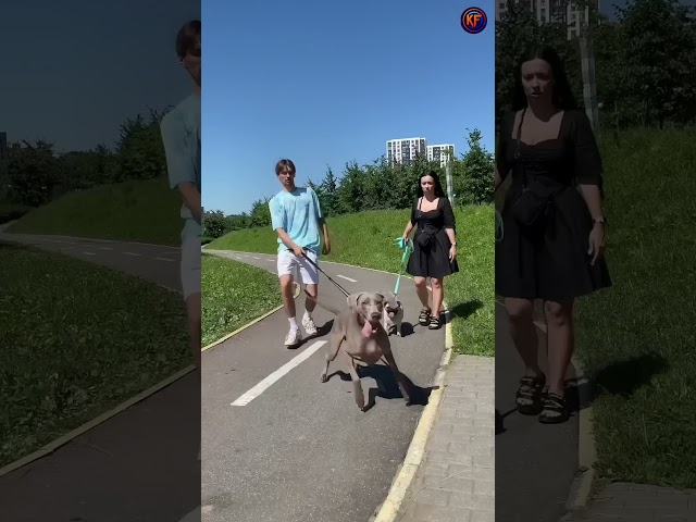 لما سونو خرجت مونو يتمشى في الحديقة 🐶❤️