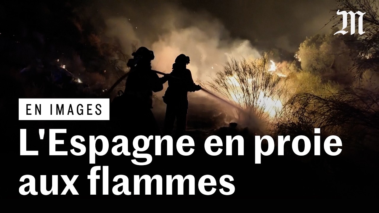 Espagne : au moins 12 morts dans un violent incendie qui ravage l'Andalousie