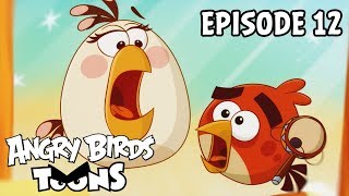 Angry Birds Toons - Happy Hippy - S3E12
