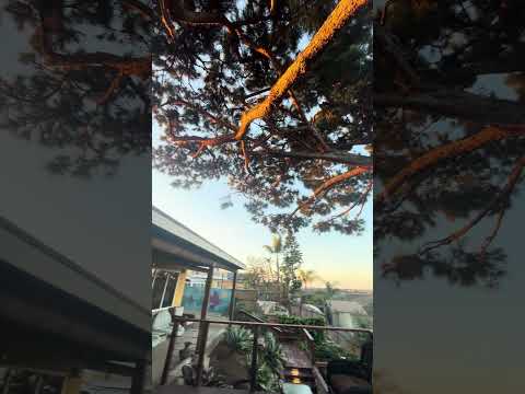 Video der Unterkunft