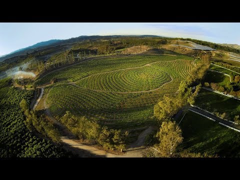 The Biggest Little Farm'