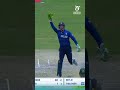 Lightning-fast reflexes from Jack Carney behind the stumps! #U19WorldCup #Cricket(International Cricket Council) - 00:27 min - News - Video