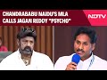 Andhra Pradesh | Fresh Row In Andhra Pradesh As Chandrababu Naidus MLA Calls Jagan Reddy Psycho
