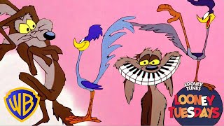 Coyote a Road Runner - mix