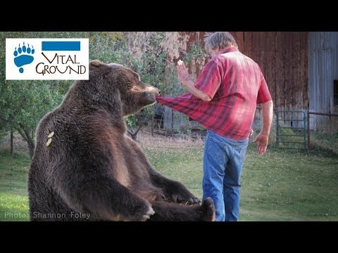 A Man with a Grizzly Bear! - YouTube