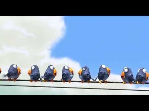 For the Birds'