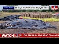 కొమరంభీం జిల్లాలో ఒడ్డుగూడెంలో రైతుల ఆందోళన | TS Farmers | Komaram Bheem district | hmtv  - 01:39 min - News - Video