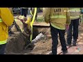 WATCH: LA firefighters rescue horse from an apparent sinkhole  - 00:54 min - News - Video