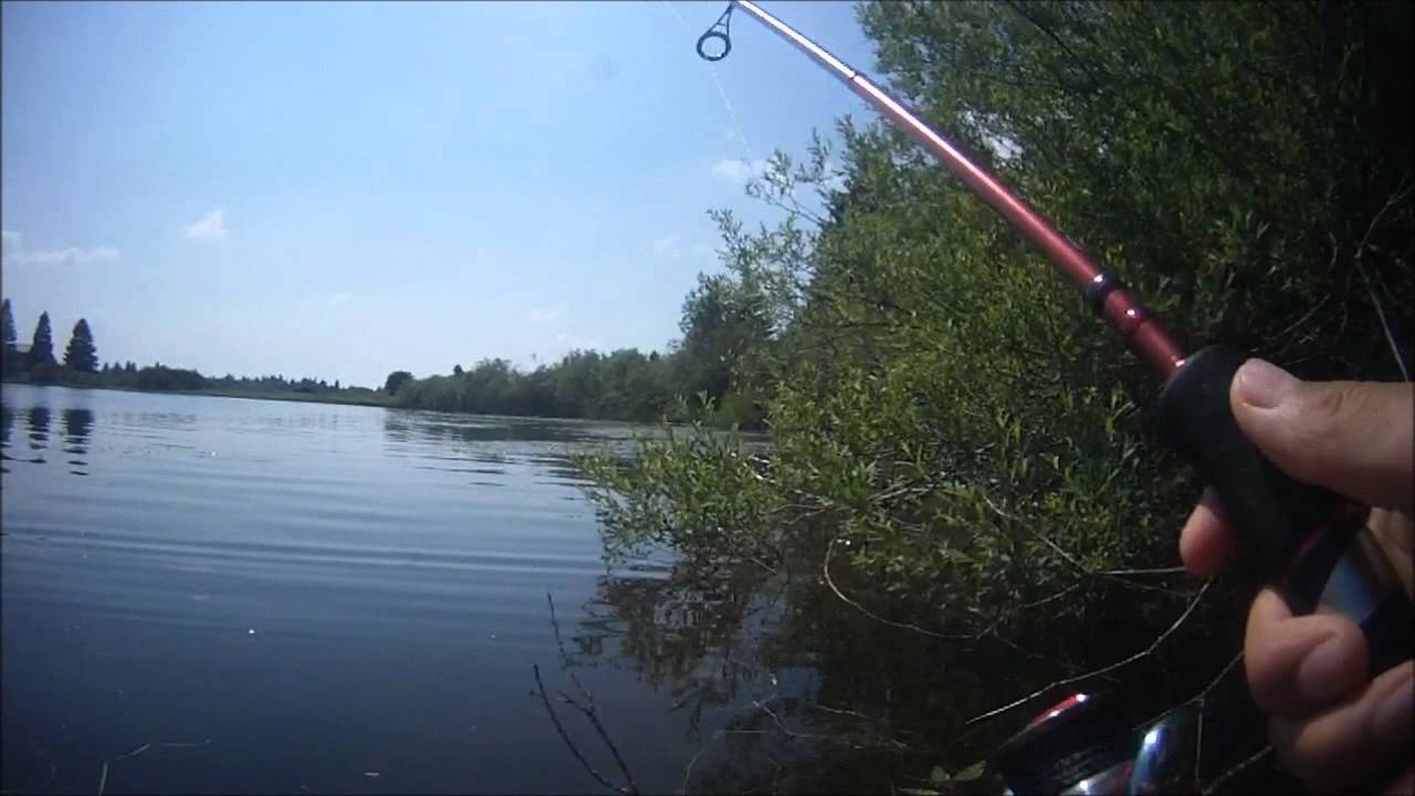 pêche au brochet à la grenouille 2013 - YouTube