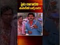 పైట లాగాడని తుపాకీతో కాల్చేశాడు! #Brahmanandam #Venkatesh #abbayigaru #shorts #ytshorts #navvulatv