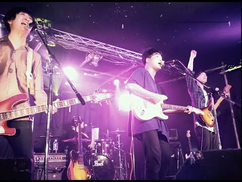 マイアミパーティ「愛されたいのさ!」MV