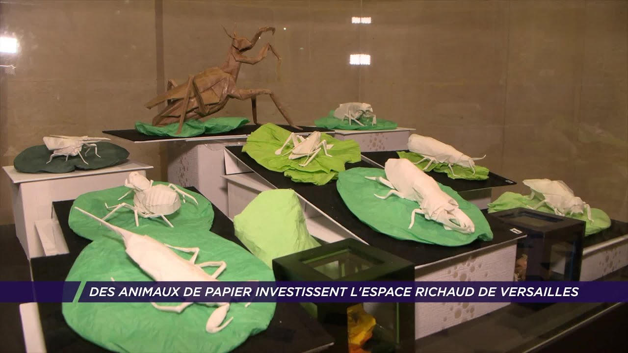Yvelines | Des animaux de papier investissent l’Espace Richaud de Versailles