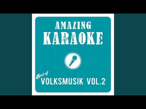 Weil wir Freunde sind (Karaoke Version) (Originally Performed By Wildecker Herzbuben)