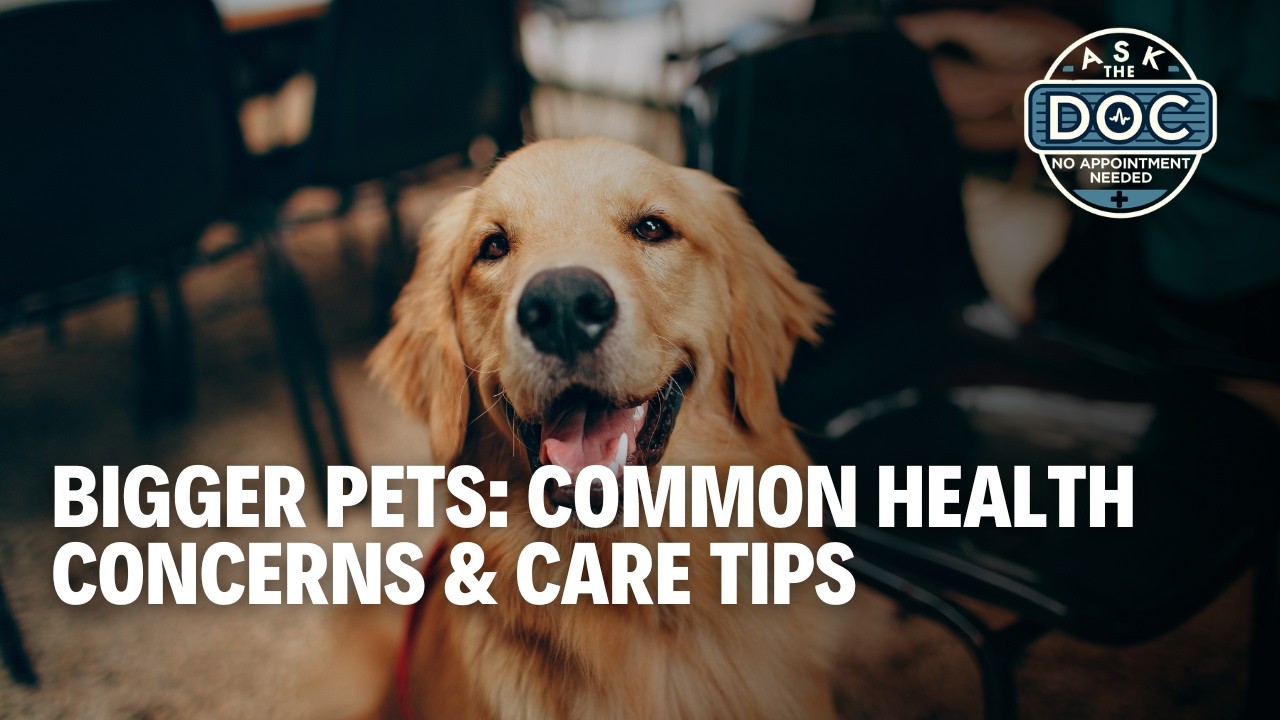 Big Pets, Big Care: What Every Pet Owner Should Know | Ask The Doc
