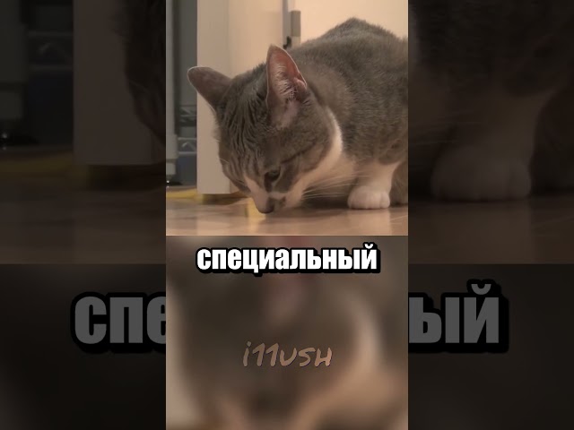 Кем пахнет?