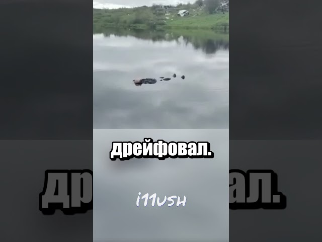 Мужик просто поплавать захотел