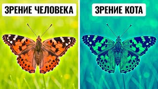 Более 100 диких фактов, которые заставят вас гуглить каждый из них