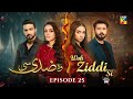 Woh Ziddi Si - Episode 25 - 23rd Nov 2024 [ Aina Asif & Shazeal Shaukat ]  SIA BEAUTY CREAM - HUM TV