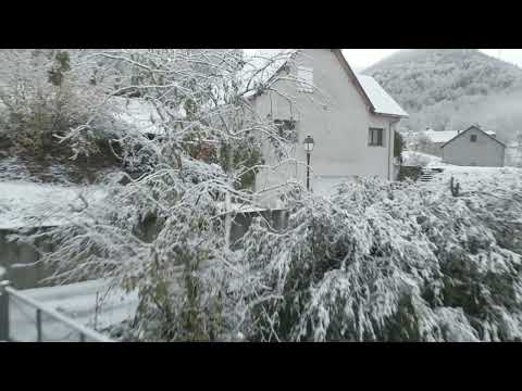 Property video
