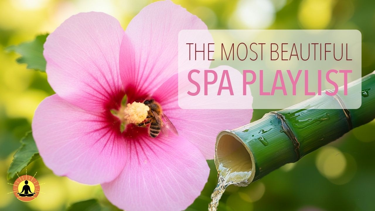 3 Hours of Soothing Spa Music for Digital Detox | No Interrupting Ads