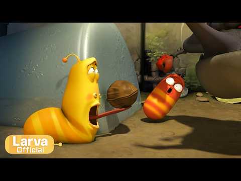 Larva Tuba - Vla�sk� orech