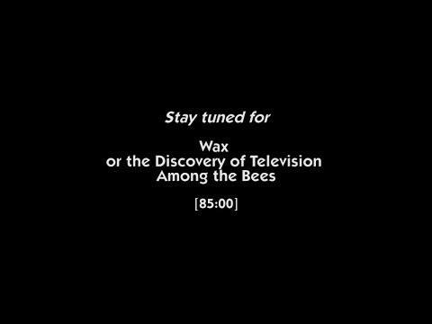 Wax, or the Discovery of Television Among the Bees'