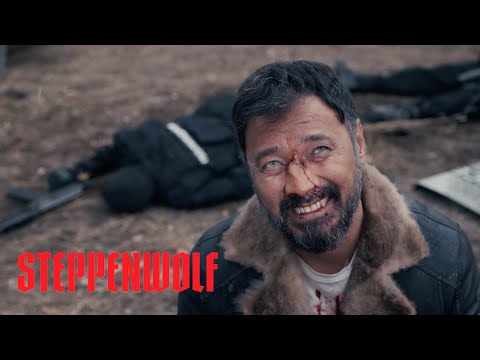 Steppenwolf'