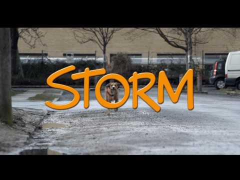 Storm'