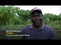 Farmers in Africa say their soil is dying and chemical fertilizers are in part to blame  - 02:26 min - News - Video