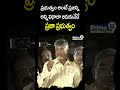 Chandrababu Comments On YCP | Prime9 News