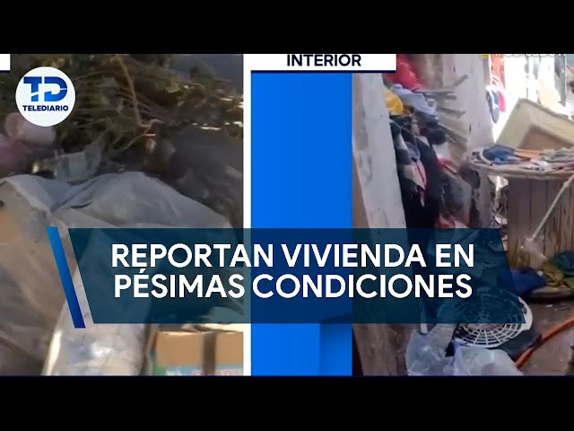 "Hay ratas como no te imaginas", reportan casa en pésimas condiciones