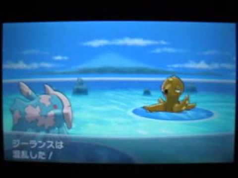 ポケモンxy 連続釣り 色違い 確率 Krob