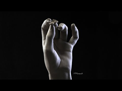 Sculpting The Hand