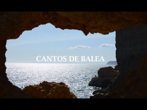 Gonzalo Abelairas - Cantos de Balea