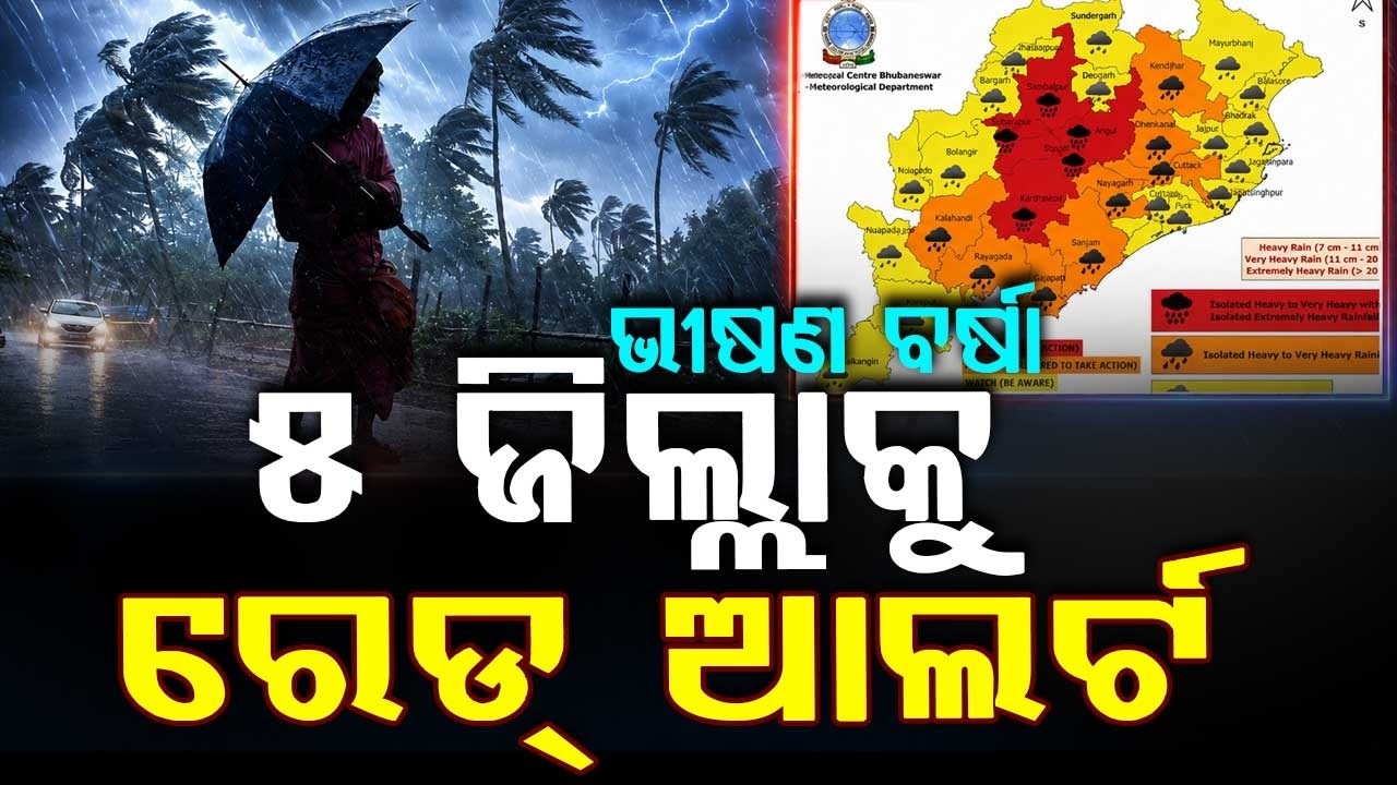 Odisha Rain Update: Severe Rainfall Expected, Red Alert Issued for 5 Districts | Argus News