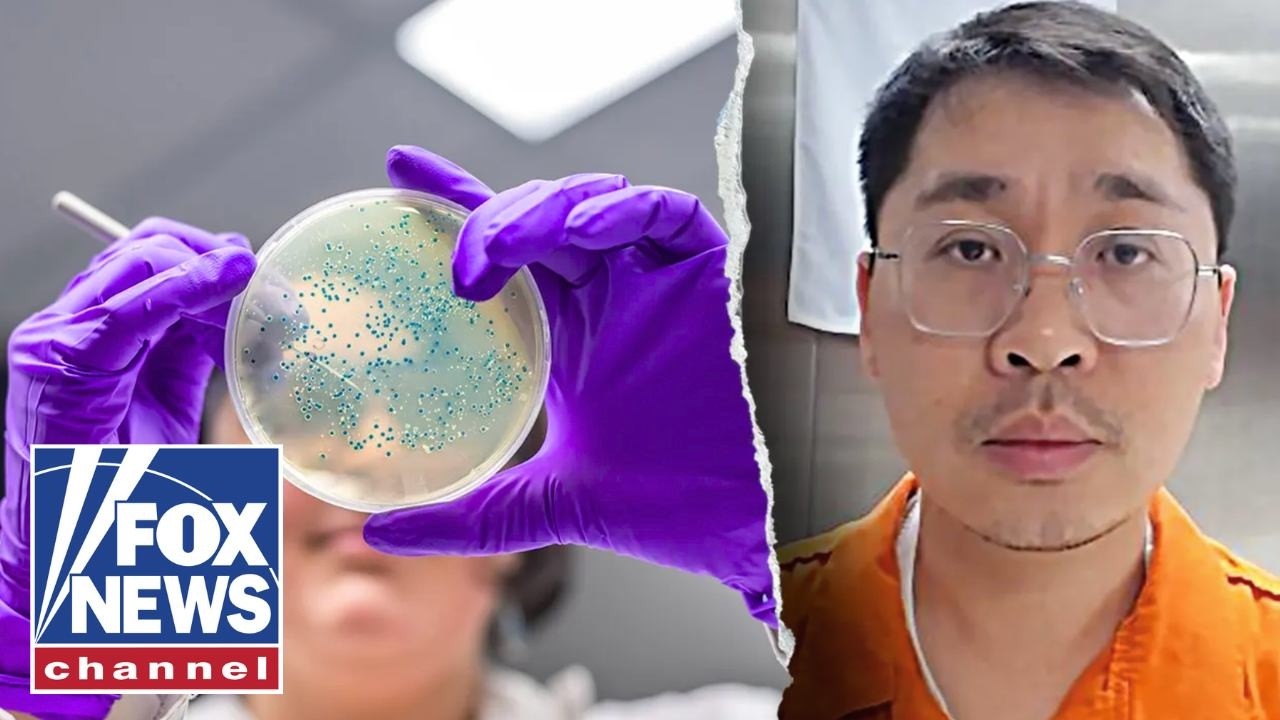 Bio pathogen marked as WOMEN'S UNDERWEAR smuggled into US